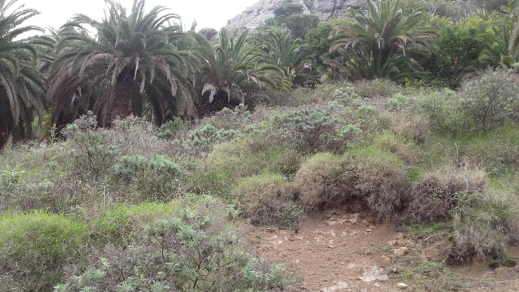 شقة Casa Rural El Cabezo فاليهيرموسو