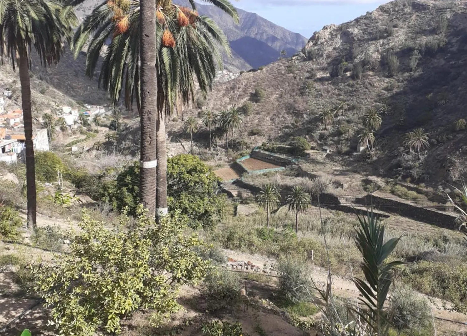 شقة Casa Rural El Cabezo فاليهيرموسو