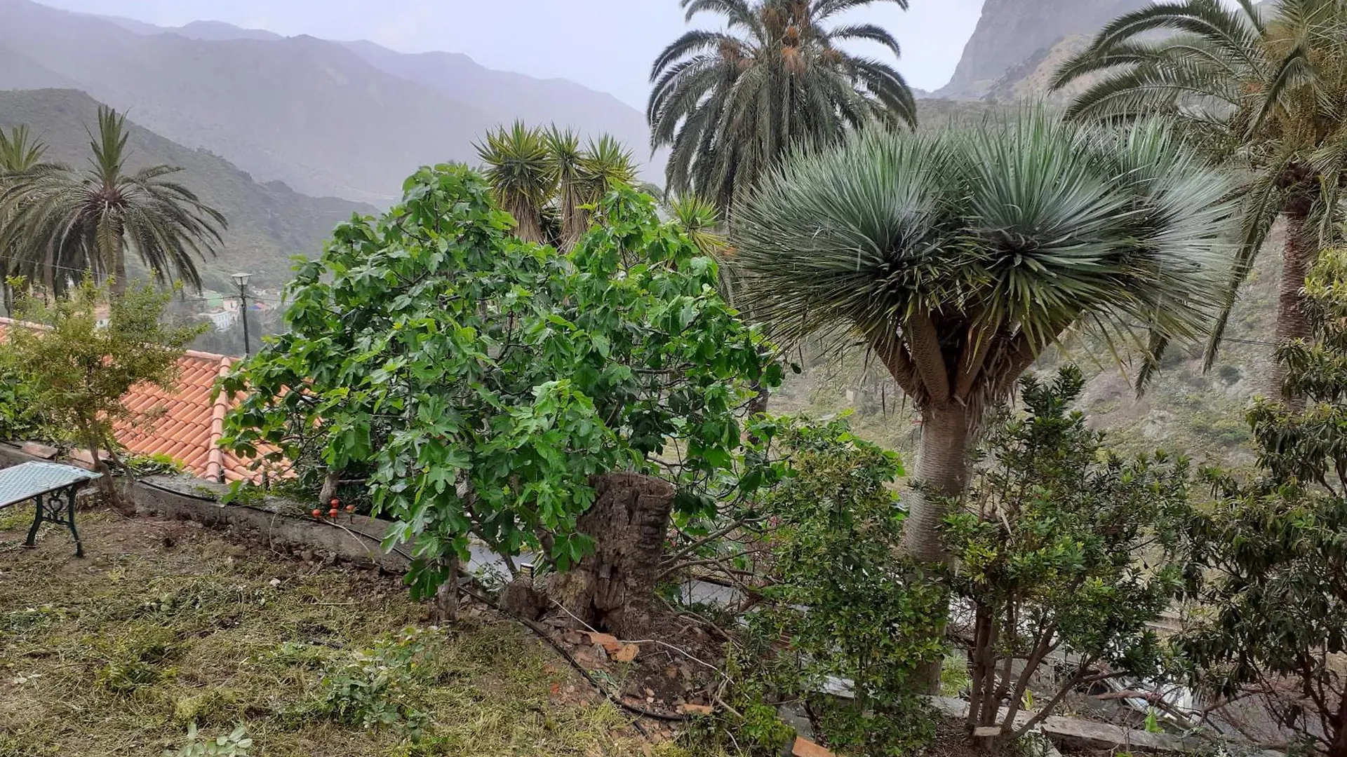 شقة Casa Rural El Cabezo فاليهيرموسو